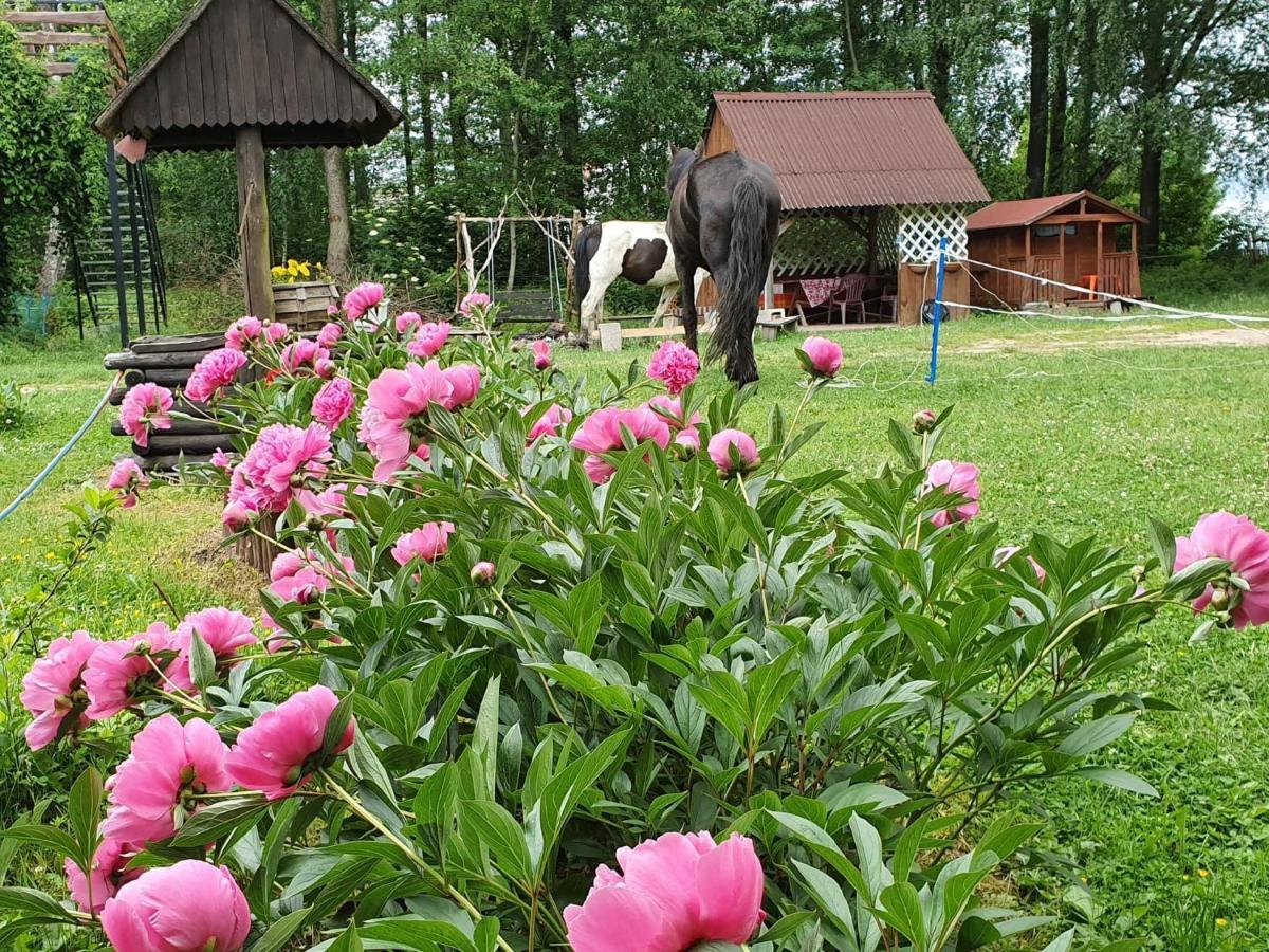 Kurnik Polski Farm stay