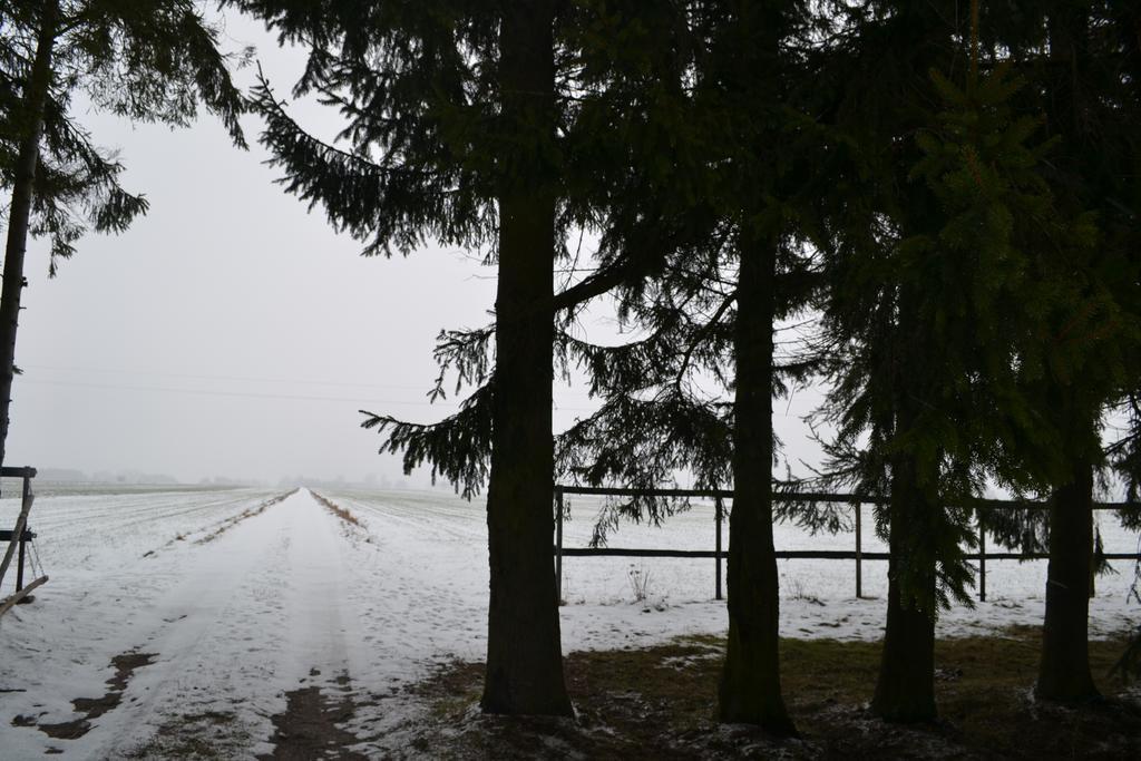 Farm stay Kurnik Polski